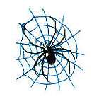 Oxalis, HALLOWEEN / Kinder Einmal Tattoo Spider Web, Sp