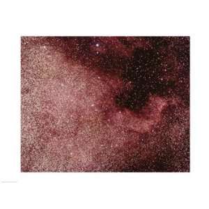   North America Nebula In Cygnus Poster (24.00 x 18.00): Home & Kitchen
