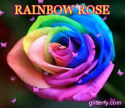   to come by as there are very few vendors selling rainbow roses