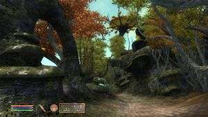 The Elder Scrolls IV Oblivion   Shivering Isles Add on (DVD ROM 