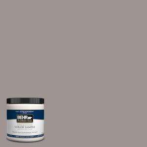 BEHR Premium Plus 8 oz. Puddle Interior/Exterior Paint Tester # 790B 4 