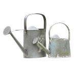 Home Decorators Collection Small Silver Iron Watering Can DISCONTINUED