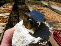 This Pyrite Specimen measures 3 1/2 inches long , 2 3/4 inches wide 