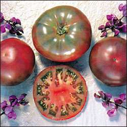 Tomato, Cherokee Purple non GMO Heirloom 25 vegetable seeds  