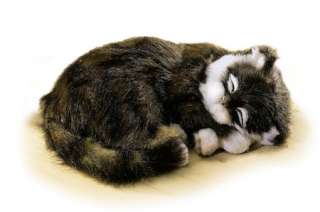 Schlafende Katze Kätzchen Figur super süß NEU  