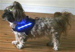 LED Strips als Logo z.B. für Julius K9® Hunde Geschirr  