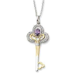   Silver & Gold plated Feb. CZ Birthstone Key 18in Necklace Jewelry
