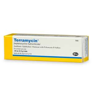 Terramycin Antibiotic Ophthalmic Ointment with Polymyxin B Sulfate .13 
