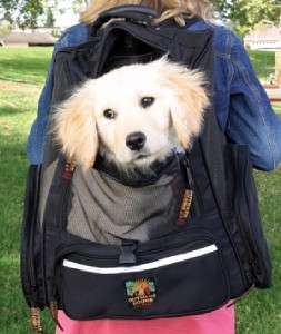 NEW Roll along Pet Carrier and Backpack. DOG, CAT, ETC  