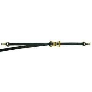  General Cable F14059 1inx18ft Ratchet Tiedown Patio, Lawn 