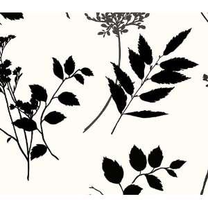  Black White Garden Silhouette Wallpaper