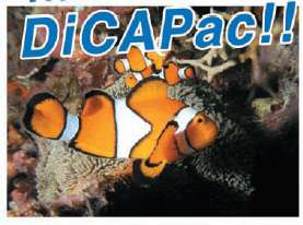 DiCAPac WP P10 WaterProof case for SONY PSP Game 8809176623042  