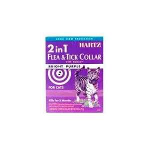  Flea Tick Cat Collar 13   Purple (Catalog Category Cat / Cat Flea 