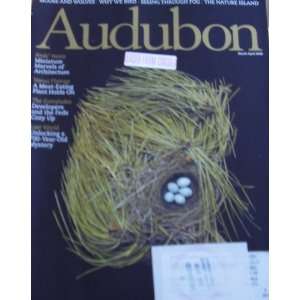  Audubon Magazine March April 2008 Birds Nests Everything 