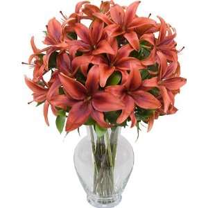 Dark Knight Lilies 10 stems with Jordan Vase  Grocery 