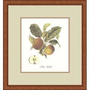  Apple   Blanc Michel by Francois Langlois   Framed 