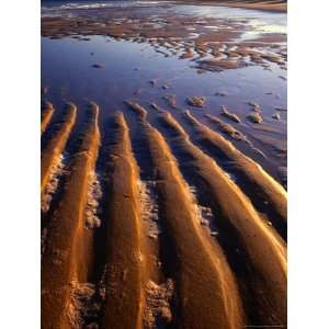 Sand Formations on Five Mile Beach, Wilsons Promontory National Park 