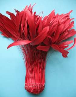 30 PCS. FANCY RED STRIPPED COQUE ROOSTER FEATHERS  