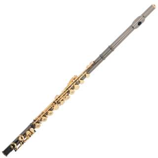 Cecilio Open Hole C FLUTE FE 282BNG Black/Gold Plated  