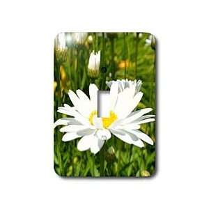 Patricia Sanders Flowers   Summer Daisy   Light Switch Covers   single 