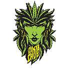 Santa Cruz Weed Goddess Sticker Decal Phillips Graphic