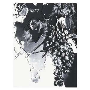  Grapes, c.1979 Giclee Poster Print by Andy Warhol, 46x61 