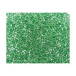   Grass Green Treasure #1 Seed Bead Seed Beads Arts, Crafts & Sewing