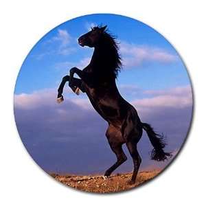  Wild Horse Round Mousepad Mouse Pad Great Gift Idea 