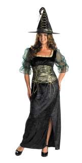 Womens XL (18 20) Plus Size Emerald Witch Costume   Wit  