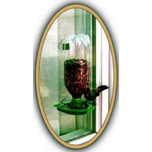  Window Bird Feeder   Green, Strong Suction Cups, Filling 