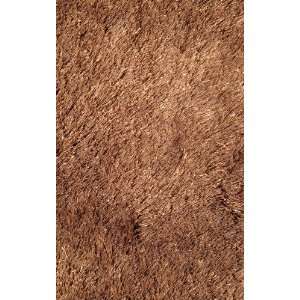   Shaggy Collection 39X58 Inch Modern Living Room Area Rugs Furniture