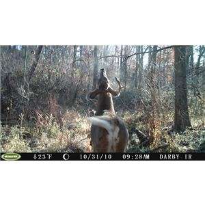 MOULTRIE Game Spy D 50 Flash Digital Trail Game Camera  