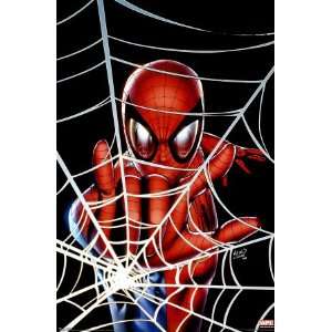  Spider Man   Marvel Comics Poster (Spidey In Web) Poster 